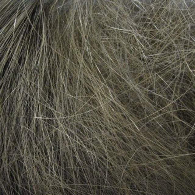 Erosion Wire