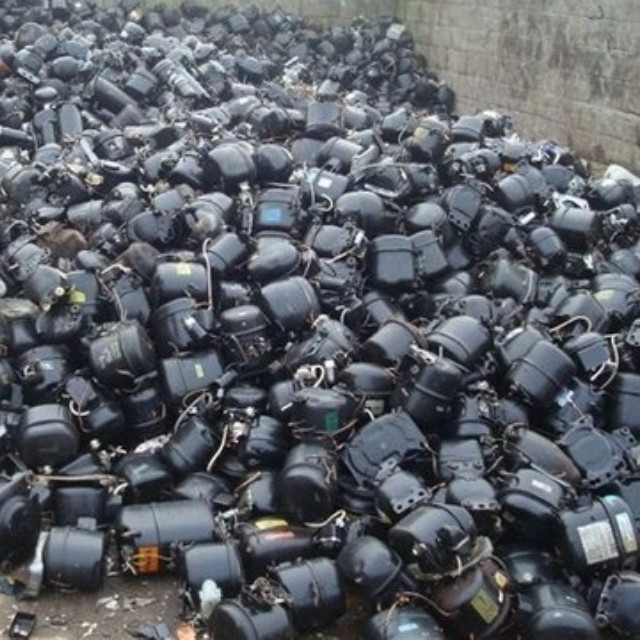 Refrigerator motors